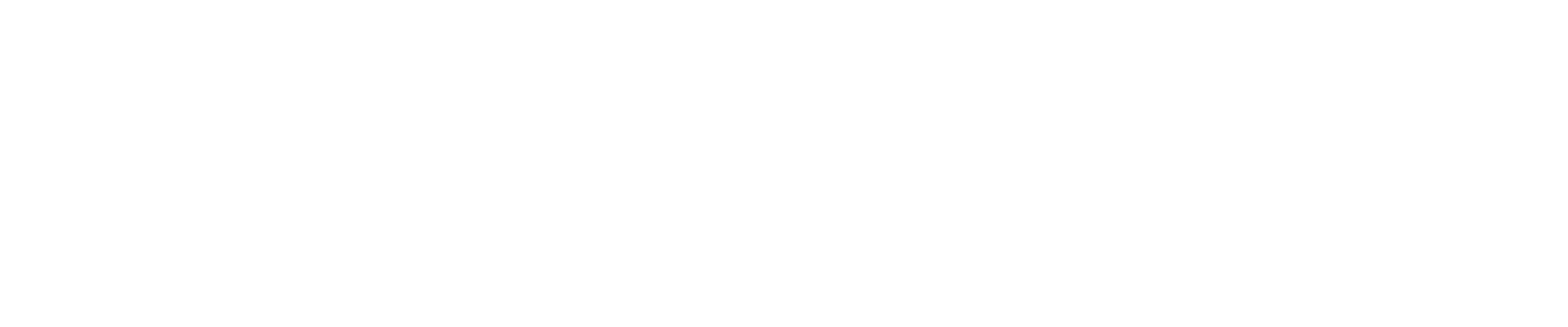 Hostoner Logo